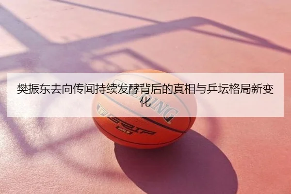 樊振东去向传闻持续发酵背后的真相与乒坛格局新变化
