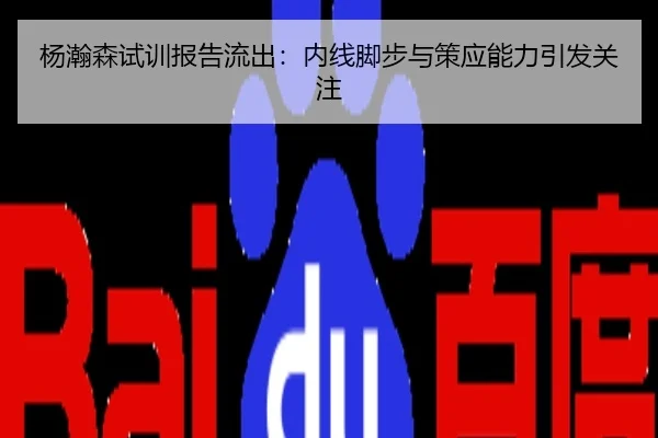 杨瀚森试训报告流出：内线脚步与策应能力引发关注